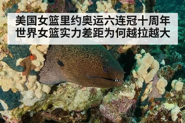 美国女篮里约奥运六连冠十周年 世界女篮实力差距为何越拉越大