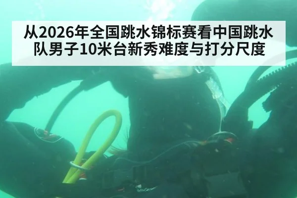 从2026年全国跳水锦标赛看中国跳水队男子10米台新秀难度与打分尺度